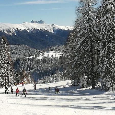 Appartamento Weitlaner Birgit Sillian Esterno foto
