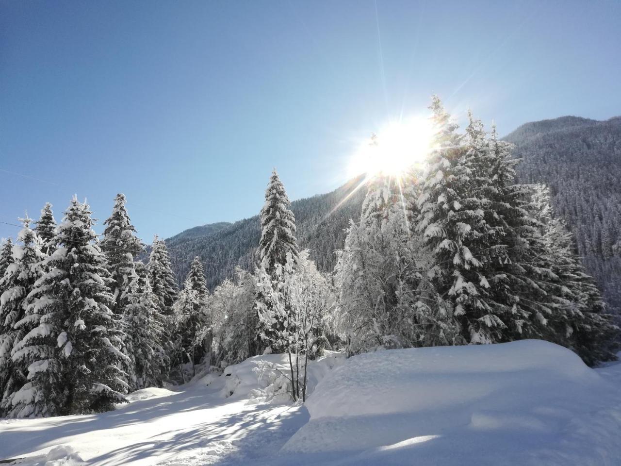 Appartamento Weitlaner Birgit Sillian Esterno foto
