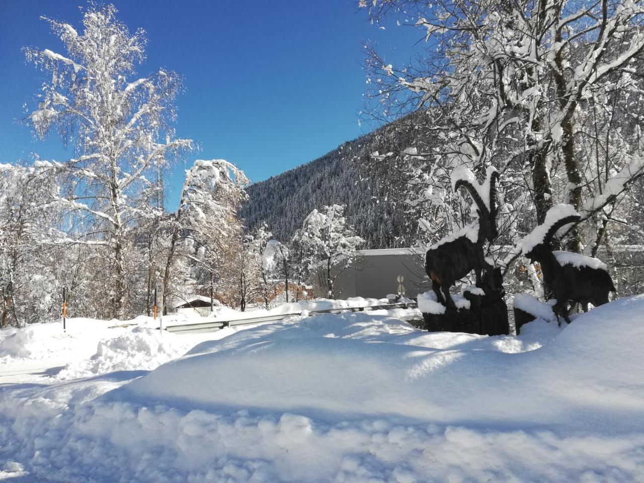 Appartamento Weitlaner Birgit Sillian Esterno foto
